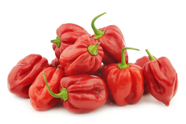 Spicy Hot Red Habanero Peppers White Background — Stock Photo, Image