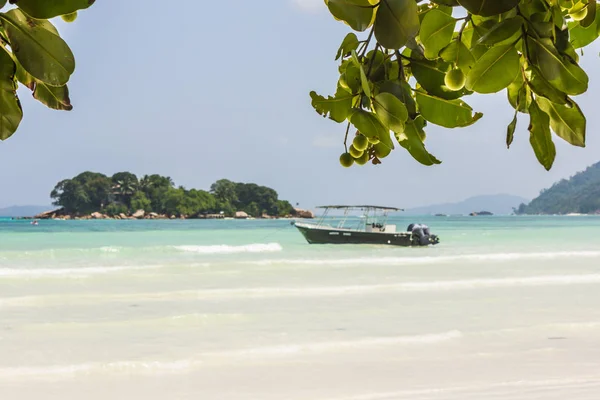 Vacker strand med vit sand och träd — Stockfoto