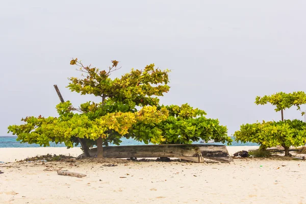 Casa de verão na praia na Tanzânia — Fotografia de Stock