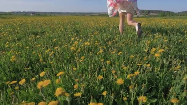 Mujer en vestido huyendo en un campo con flores amarillas y levantando brazos — Vídeos de Stock