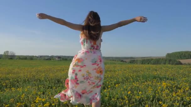 Mooie vrouw lopen op een bloeiende gele veld In een jurk verhoogt armen omhoog — Stockvideo
