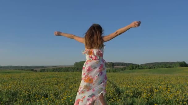 Mulher andando em um campo amarelo florescente em um vestido e girando no lugar — Vídeo de Stock