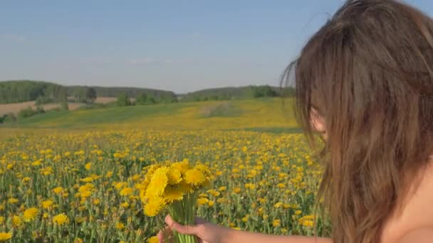 Mujer recogiendo flores y se reúnen en el ramo de campo floreciente de dientes de león amarillo — Vídeos de Stock