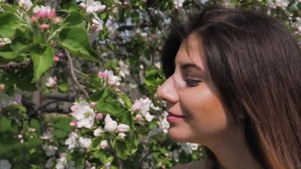 Closeup jonge Kaukasische vrouw is bloemen van bloeiende appelbomen In tuin — Stockvideo