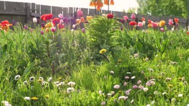 Bahçe çok güzel parlak çiçekler açar