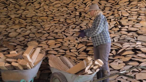 Kobieta kładzie drewno opałowe w Woodshed — Wideo stockowe