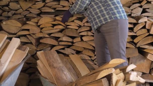 Frau holt Brennholz aus Lager und legt es zum Transport in den Einkaufswagen — Stockvideo