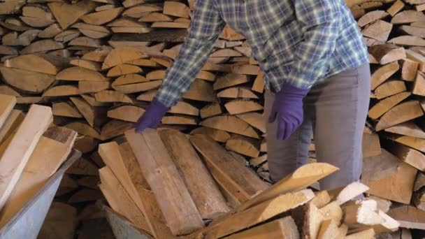 Женщина берет дрова из корзины и аккуратно помещает их в склад — стоковое видео
