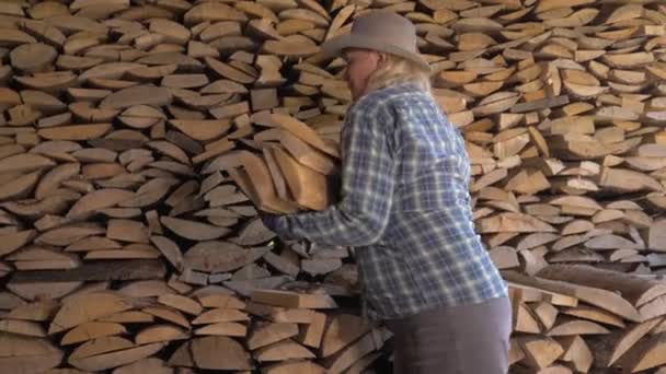 Жінка бере дрова зі складу і кладе їх у кошик для транспортування — стокове відео