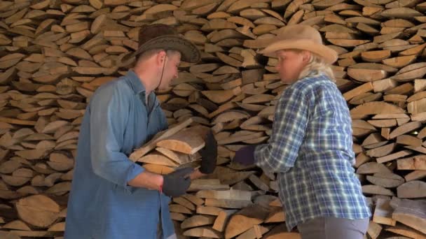 Ein Mann und eine Frau stellen im Holzschuppen Brennholz zusammen und helfen sich gegenseitig — Stockvideo