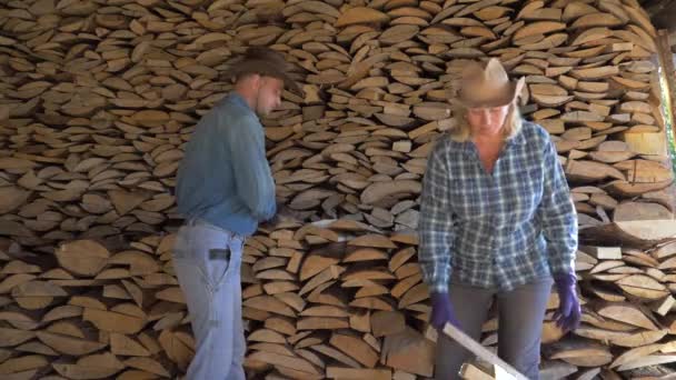 Ein Mann und eine Frau stellen im Holzschuppen Brennholz zusammen und helfen sich gegenseitig — Stockvideo