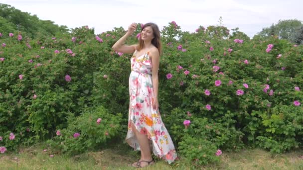 Портрет досить радісне жінка в сукні на трояндовий кущ — стокове відео