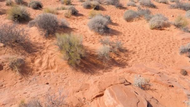 Panorámica del desierto con arena y acantilados en Red Rock Canyon National Conservation — Vídeo de stock