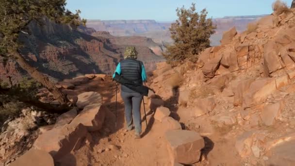 Ενεργό ώριμη παχιά γυναίκα πεζοπορία στο Grand Canyon — Αρχείο Βίντεο