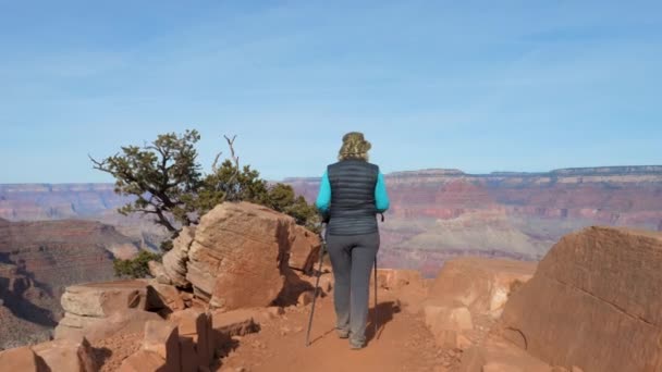 Frau wandert auf den Weg und klettert auf den Stein, um sich auszuruhen und die Aussicht zu bewundern — Stockvideo