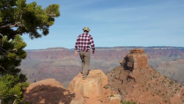El hombre de éxito está al borde de la roca y levantó sus brazos en el Gran Cañón — Vídeo de stock
