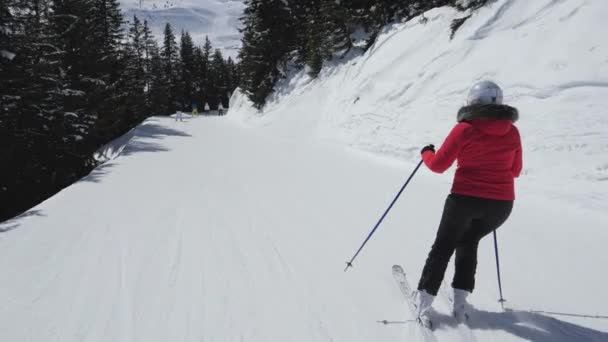 Rörelse bakifrån kvinna skidåkare skidor ner på skidbacken bland tallskogen — Stockvideo