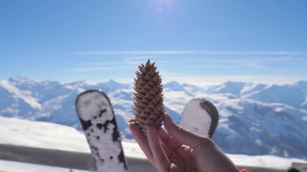 Pinecone Primer plano en invierno en las montañas nevadas en el fondo de los esquís — Vídeos de Stock
