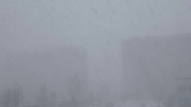 Erős havazás és a szél a város, télen — Stock videók