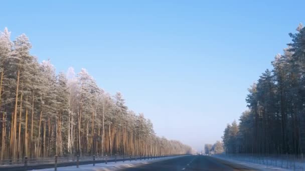 Körning på motorvägen en solig vinterdag där träden i frosten — Stockvideo