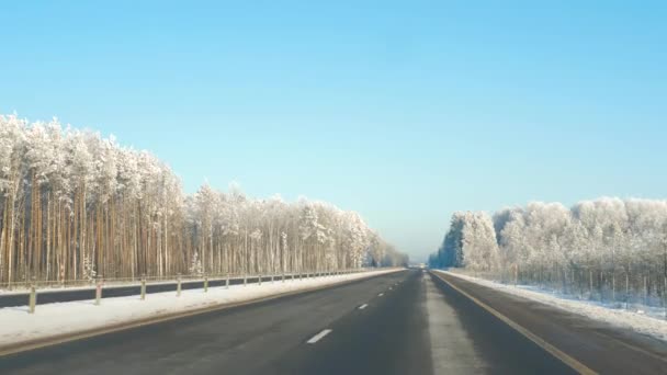 Körning på motorväg fantastiska en solig vinterdag där träden i Frost — Stockvideo