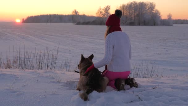 在日落的冬日傍晚, 坐在雪地里的女人深情地抚摸着狗 — 图库视频影像
