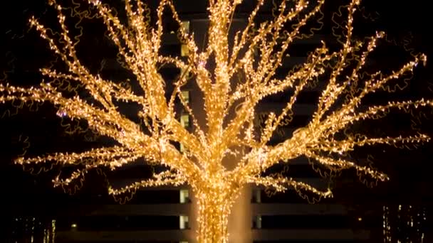 A árvore de guirlanda brilha e pisca com as luzes da cor dourada à noite — Vídeo de Stock