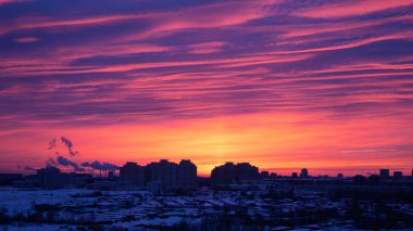 Kışın şehir gündoğumu veya günbatımı kırmızı gül