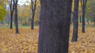 Kadın Sonbahar Park Holding bir klasör veya bir dizüstü bilgisayar ve kahve içme yürür