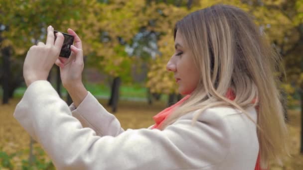 Mulher no parque de outono usa um smartphone e tira fotos de paisagens — Vídeo de Stock