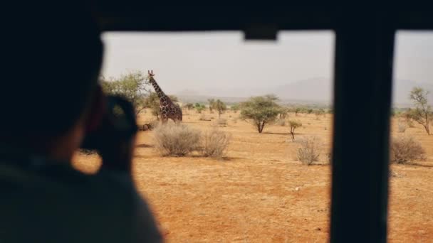 Fotograaf op Safari In Afrika neemt foto's van een wilde giraf uit de auto — Stockvideo