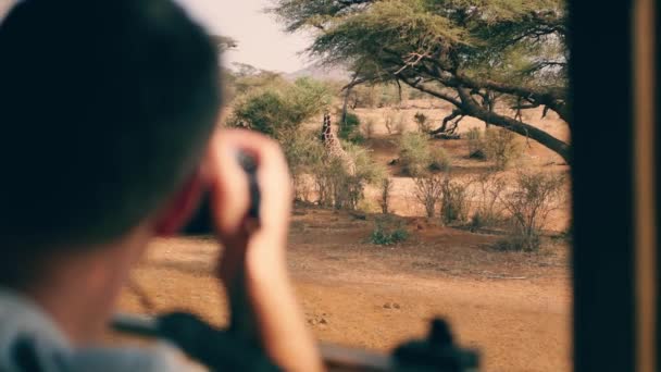 Фотограф на сафарі в Африку робить знімки диких жирафа з машини — стокове відео