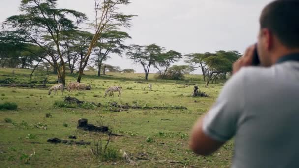 Фотограф снимает на камеру диких зебр в африканском заповеднике — стоковое видео