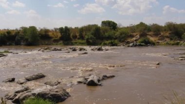 Mara Nehri Afrika kahverengi suyla Rapids bir görünümünü