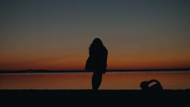 Silhouette glückliche Frau spielt mit Hund am Strand bei Sonnenuntergang — Stockvideo