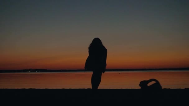 Silueta feliz mujer jugando con perro en playa al atardecer — Vídeo de stock