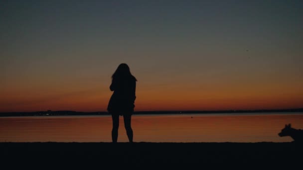 Silhouette felice donna giocare con cane sulla spiaggia al tramonto — Video Stock