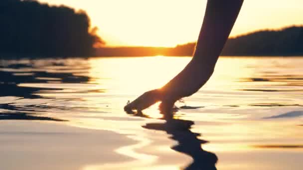 Рука нежно касается поверхности воды в пруду на золотом закате — стоковое видео