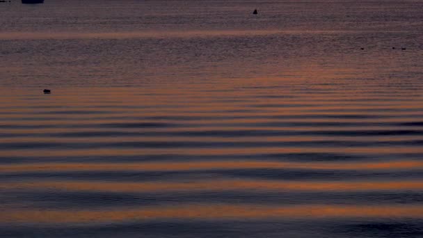 先頭に下から夕暮れパンで海の湾 — ストック動画