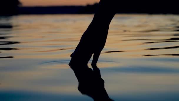 Touche doucement la surface de l'eau du bout des doigts au coucher du soleil — Video