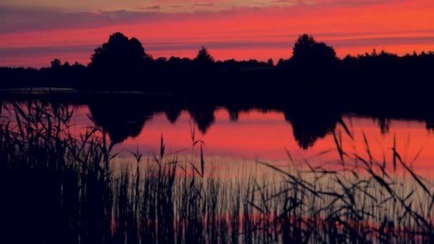 Pan en la puesta de sol escarlata vista del lago con el cielo reflejado — Vídeo de stock