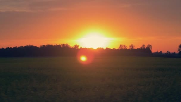 Bei der Fahrt durch die landwirtschaftlichen Felder Blick auf den Sonnenuntergang an einem Sommertag — Stockvideo