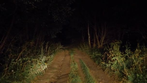 Dirigir em uma estrada rural ruim na Bush à luz dos faróis do carro — Vídeo de Stock