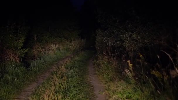 Guidare sulla cattiva strada rurale di notte alla luce dei fari nel cespuglio — Video Stock