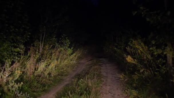 Водіння на поганих дорожніх сільських в сутінках у світлі фари в кущах — стокове відео