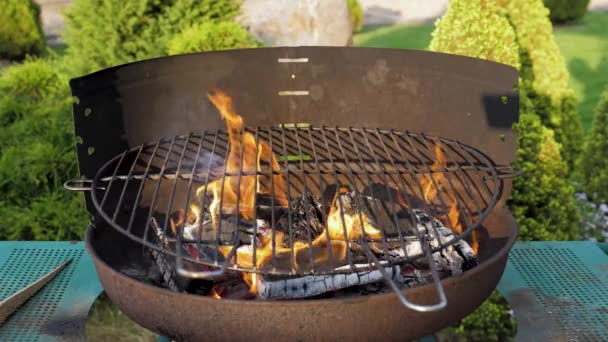 Vackert bränna brand i grill på gröna gräsmattan i trädgården på sommarkväll — Stockvideo