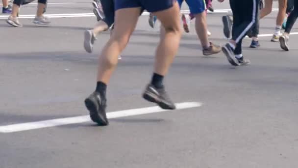 对许多运动员在比赛中参加马拉松比赛的腿的后视 — 图库视频影像