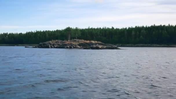 View Of The Rocky Beach With Pine Forest On A Summer Day — Stock Video