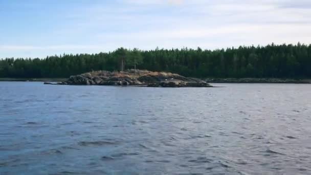 Vista de la playa rocosa con bosque de pinos en un día de verano — Vídeos de Stock