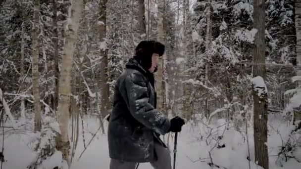 Hombre caucásico senderismo a través del bosque nevado con los polacos de trekking en invierno — Vídeos de Stock